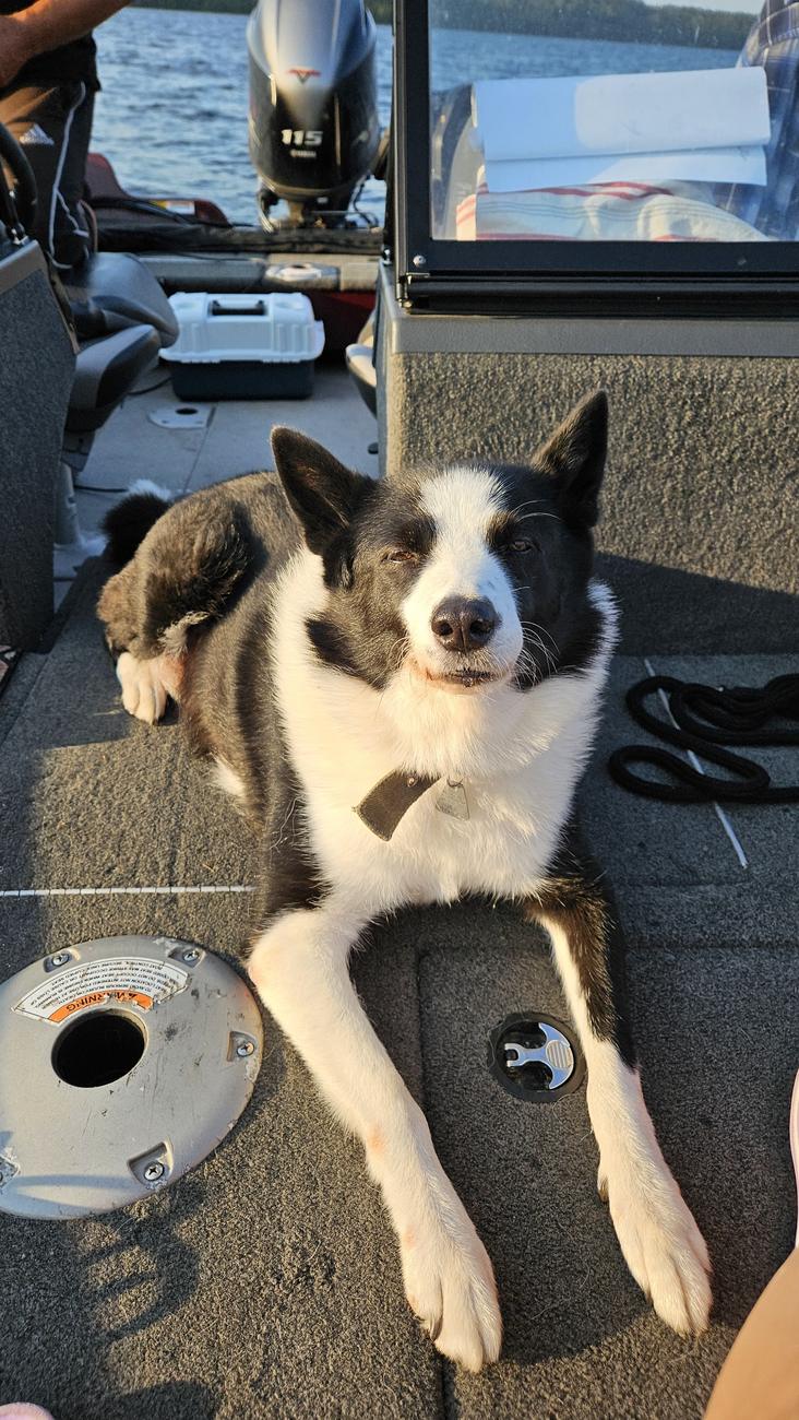 First mate aboard for the day — Dog Lake, Missanabie